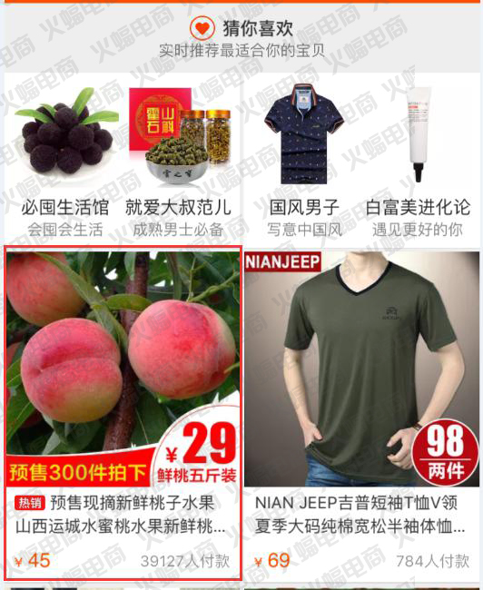 火蝠电商——专业店铺整店运营服务公司