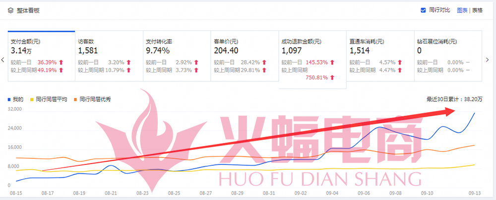 火蝠电商——专业店铺整店运营服务公司